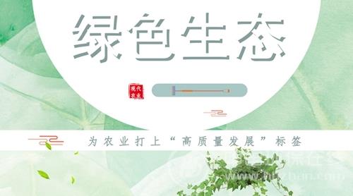 锅炉废气治理